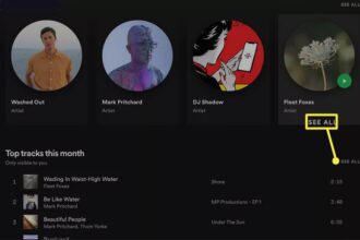 Spotify Stats